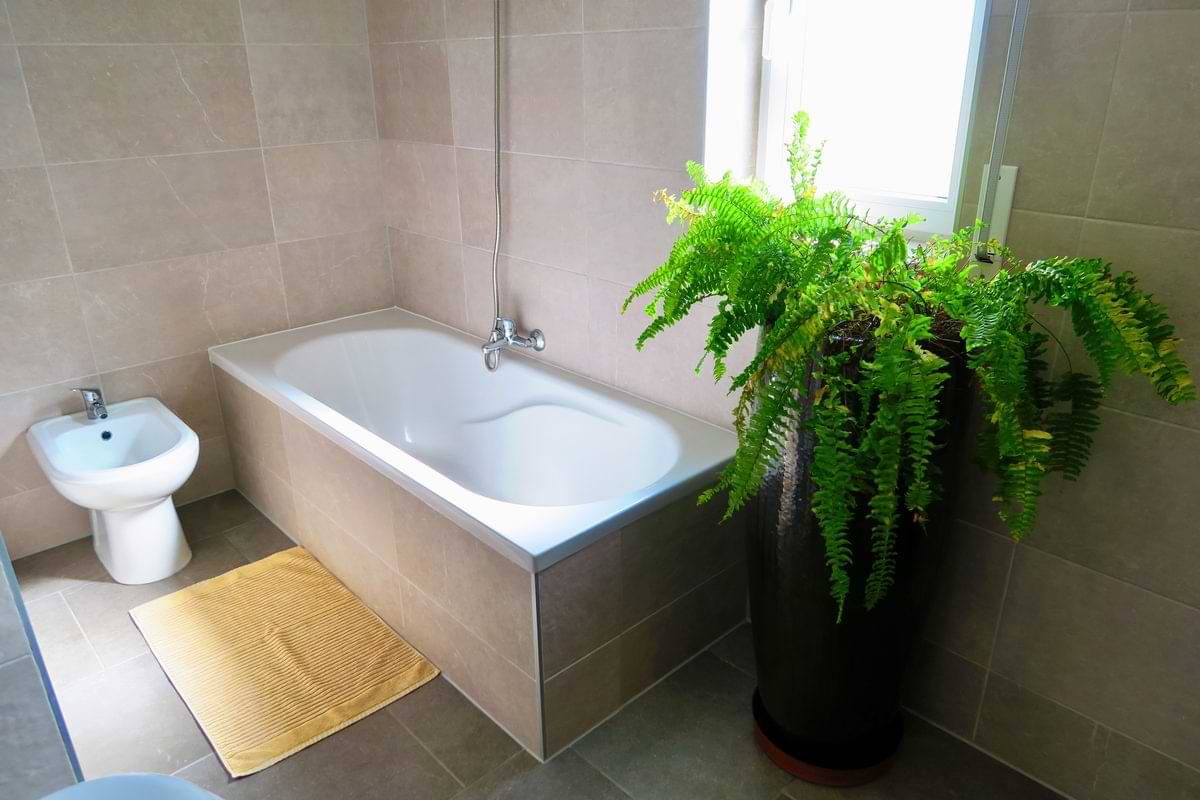 Tiled bathroom at Chillax Villa showing a white built-in bathtub, matching bidet, and a large green potted fern next to the window.
