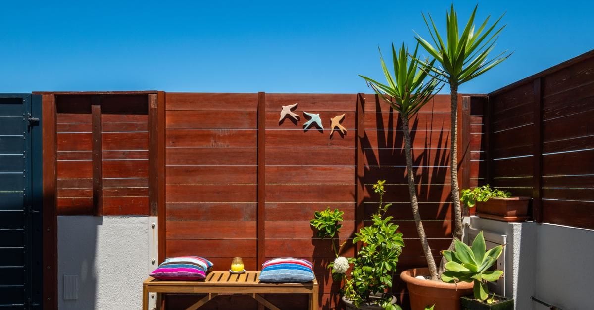 Sunny rooftop garden with wooden fence and plants